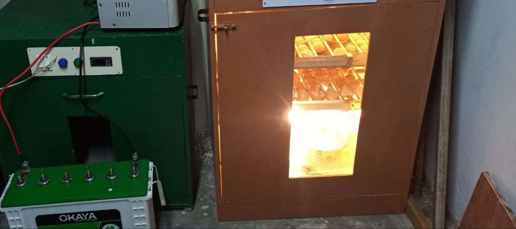 PHOTO 2022 03 02 19 24 55