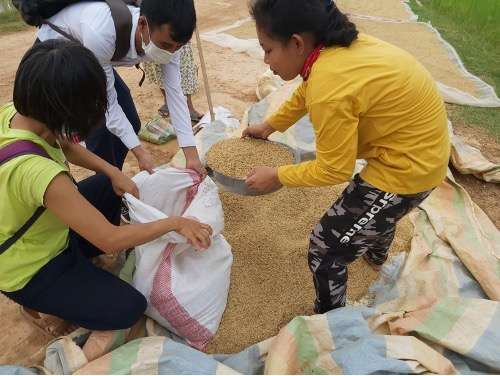 Cambodia free food program 1